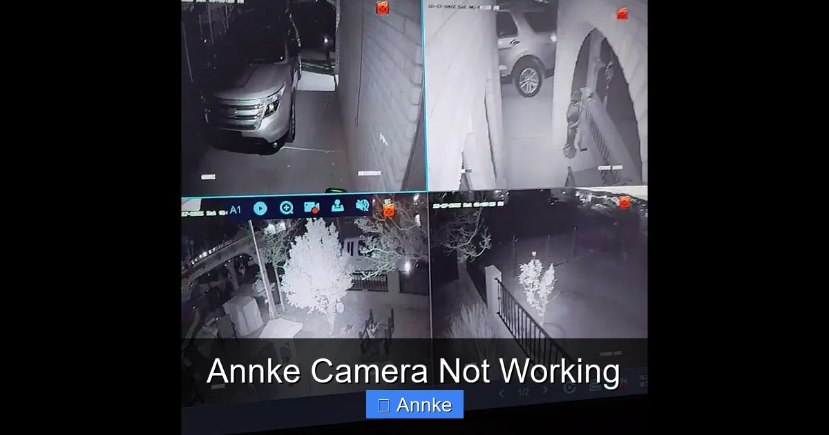 Annke Camera Not Working