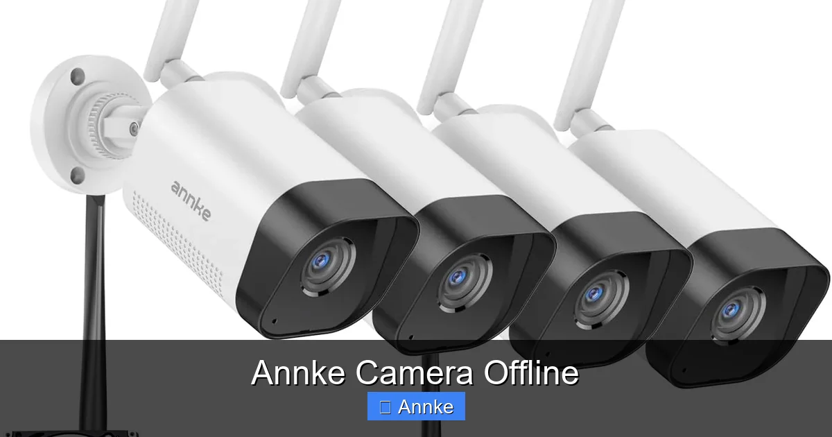 Annke Camera Offline