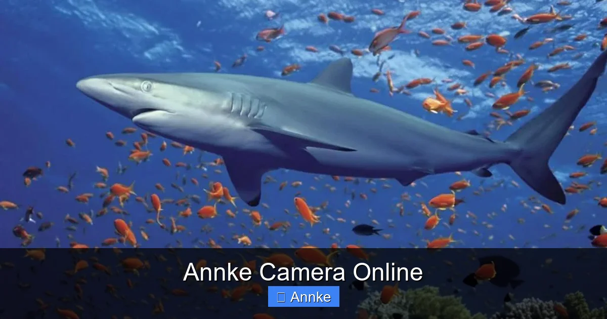 Annke Camera Online