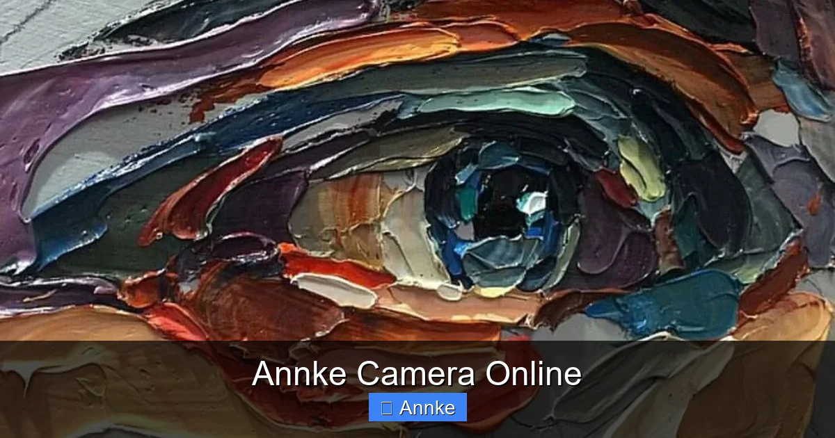 Annke Camera Online