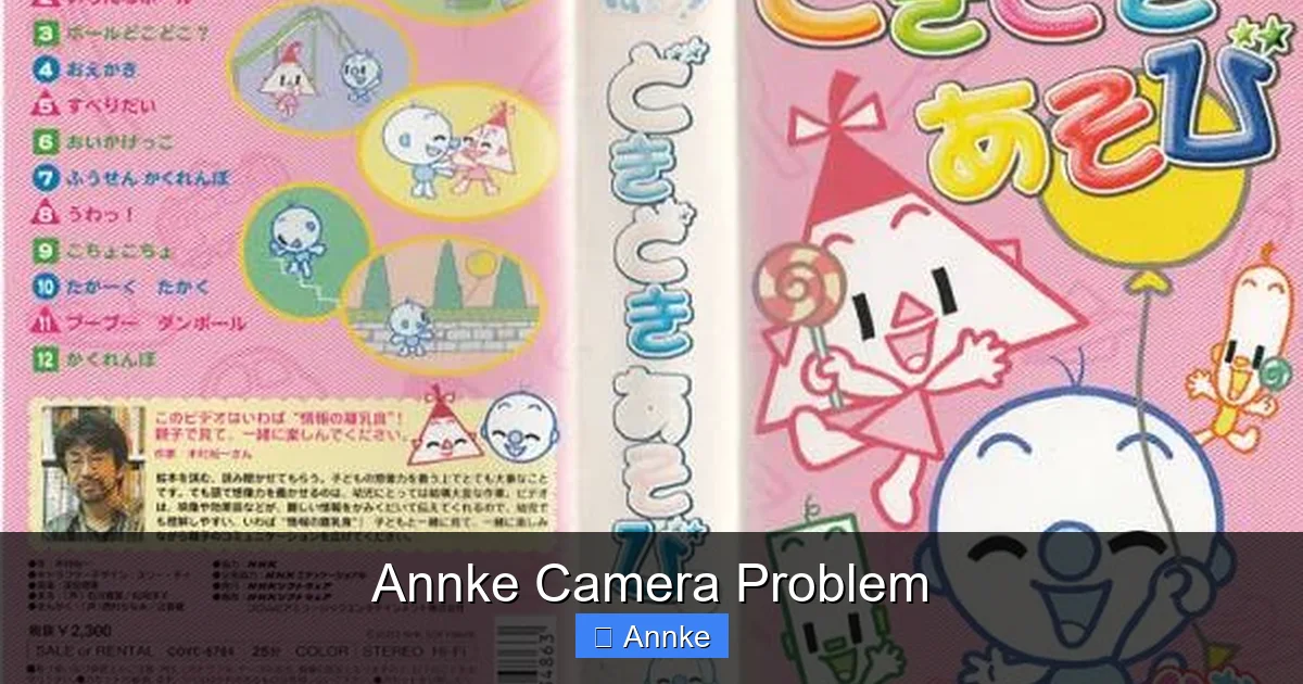 Annke Camera Problem