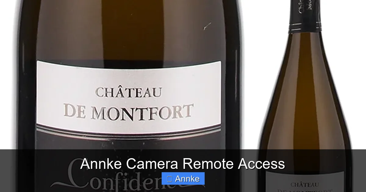 Annke Camera Remote Access