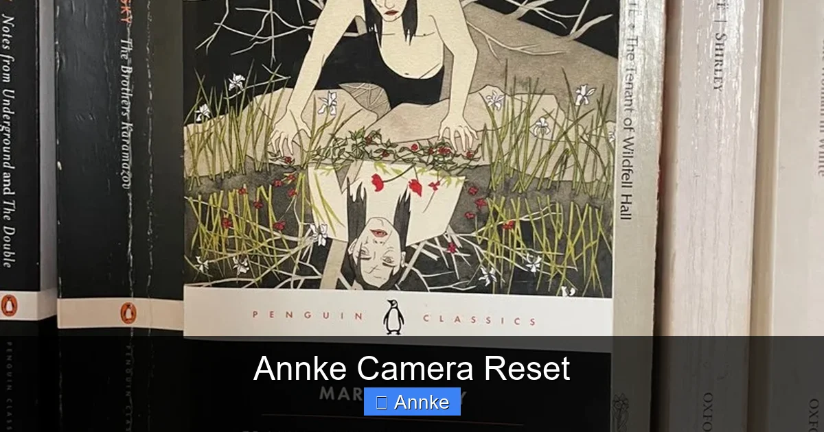 Annke Camera Reset