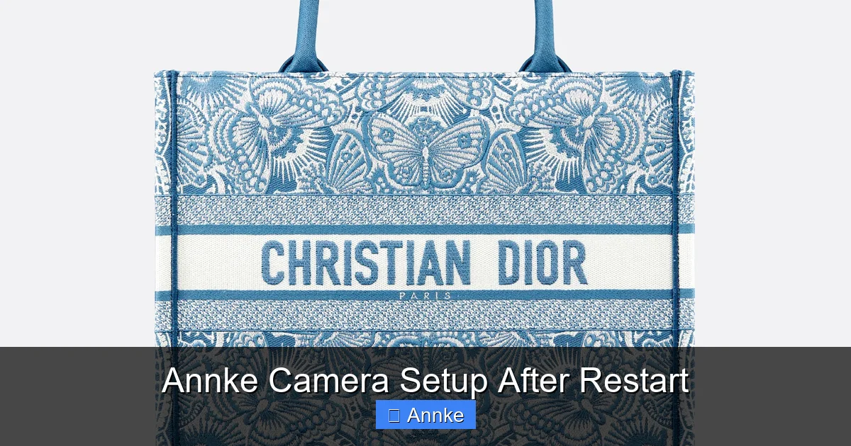 Annke Camera Setup After Restart