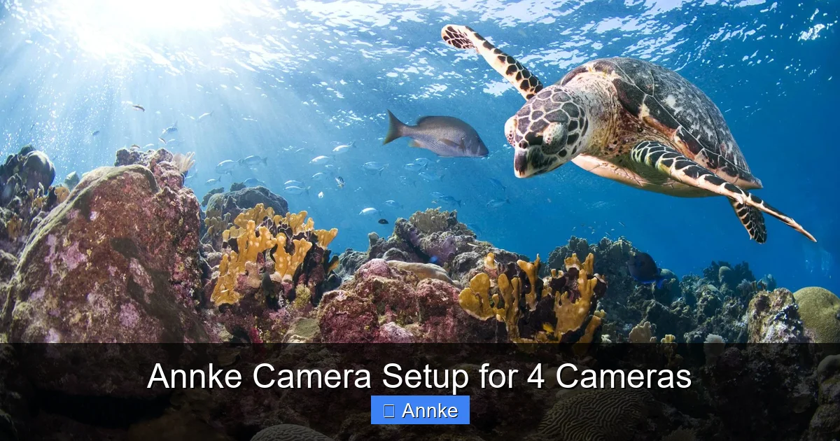 Annke Camera Setup for 4 Cameras
