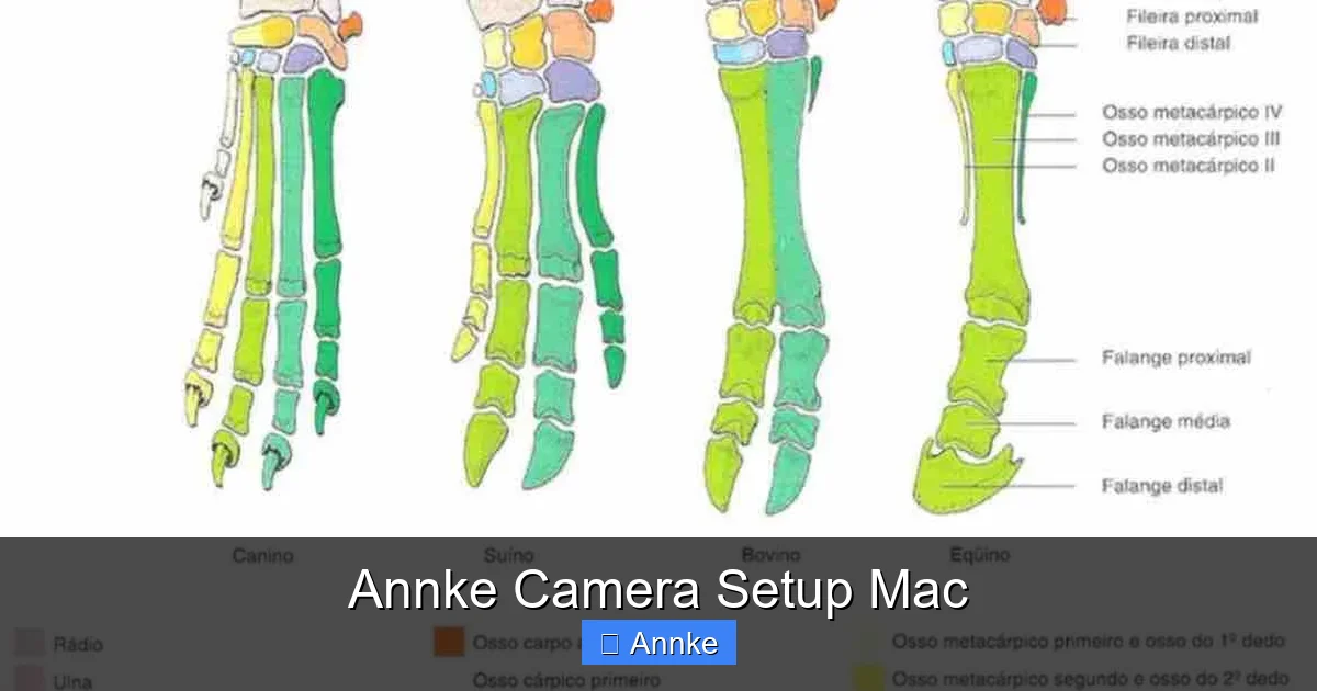 Annke Camera Setup Mac