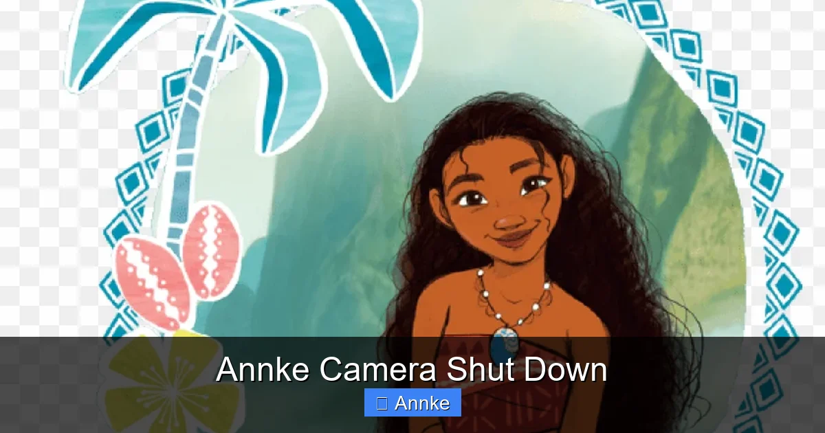 Annke Camera Shut Down
