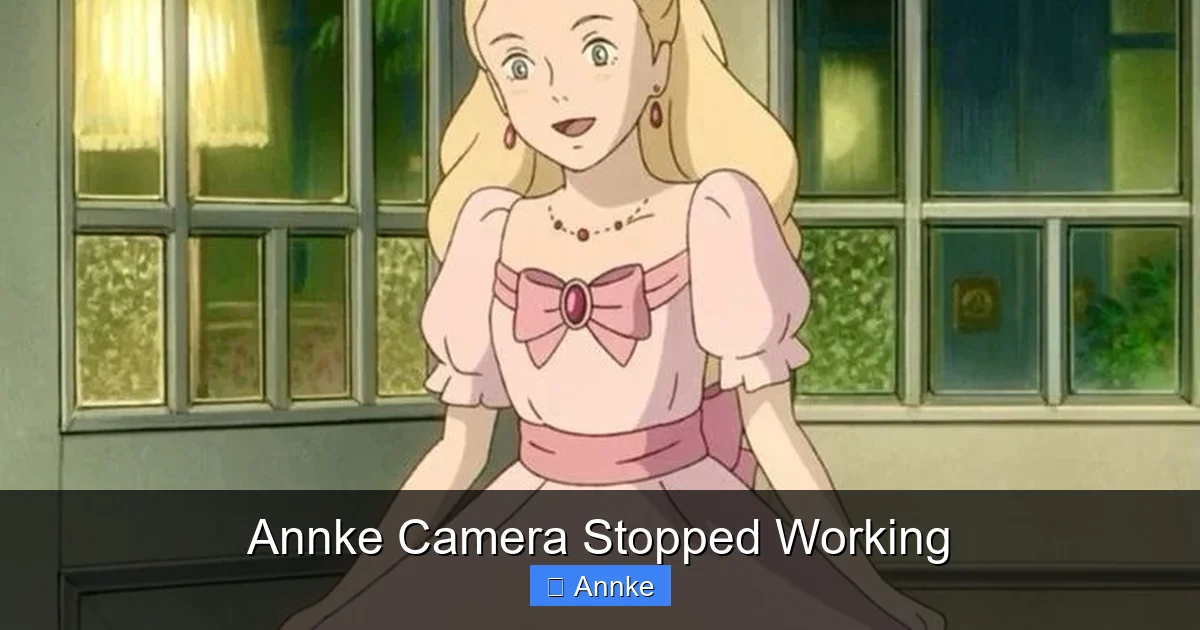 Annke Camera Stopped Working