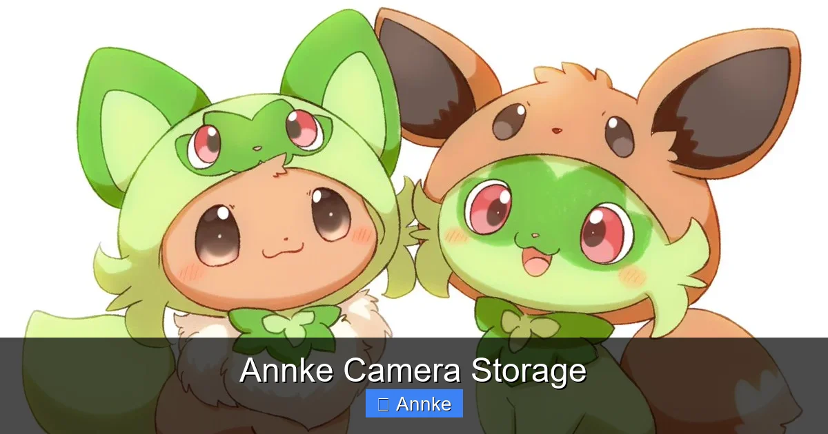 Annke Camera Storage