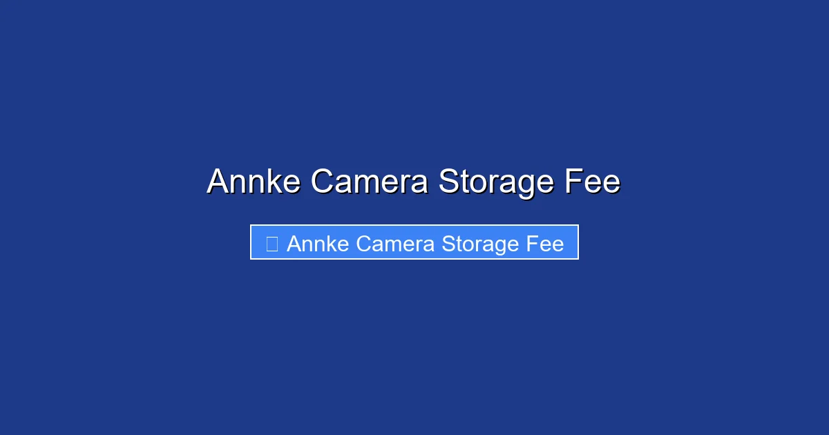 Annke Camera Storage Fee