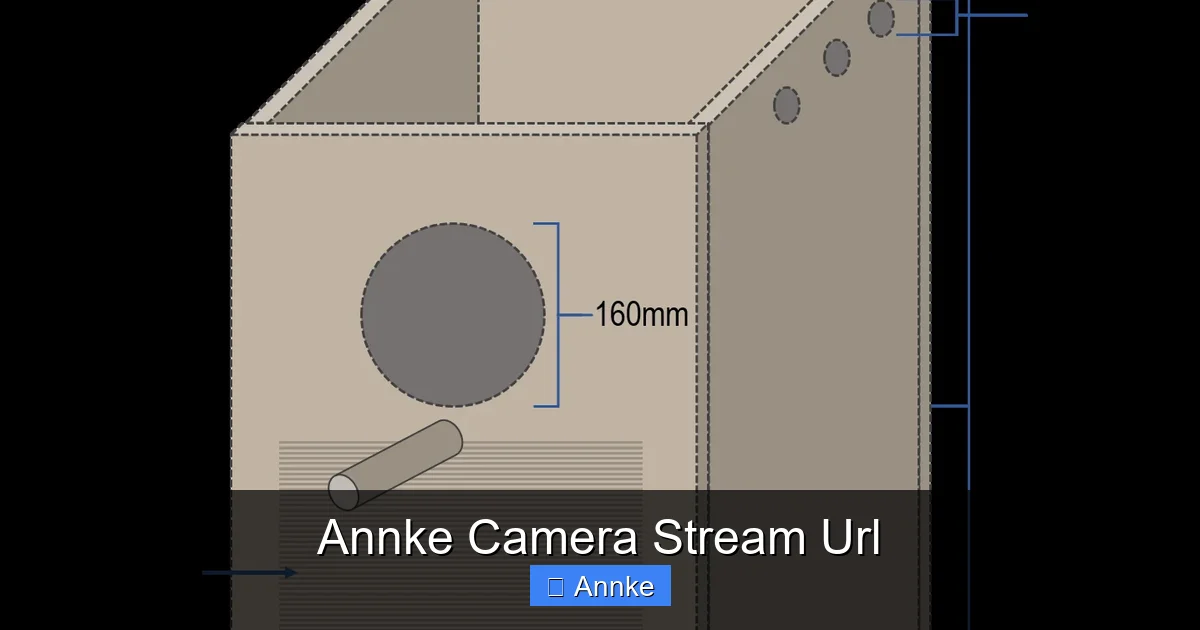Annke Camera Stream Url