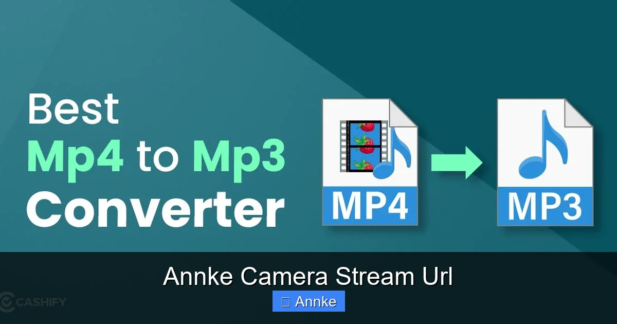 Annke Camera Stream Url