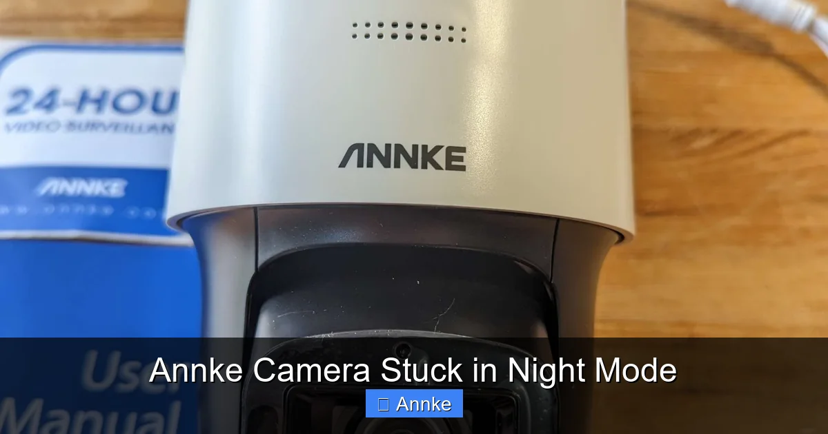 Annke Camera Stuck in Night Mode