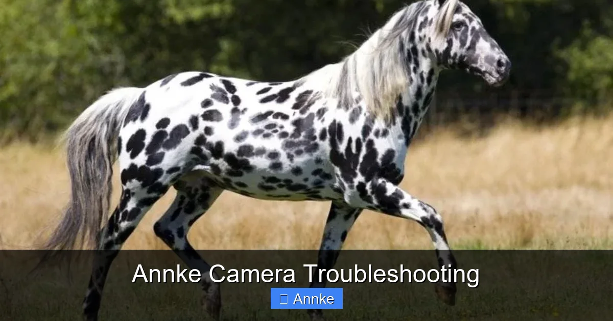 Annke Camera Troubleshooting