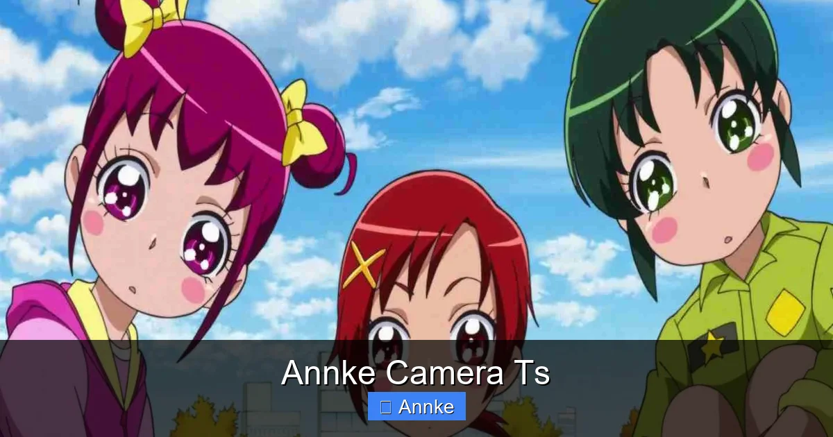 Annke Camera Ts