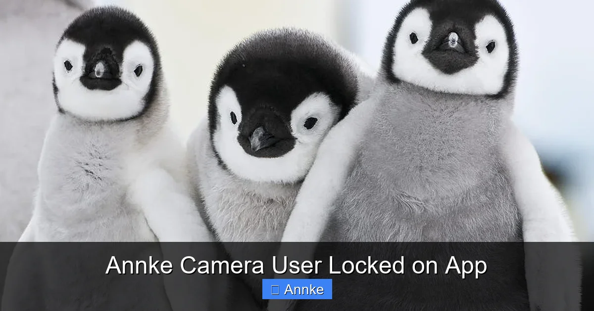 Annke Camera User Locked on App