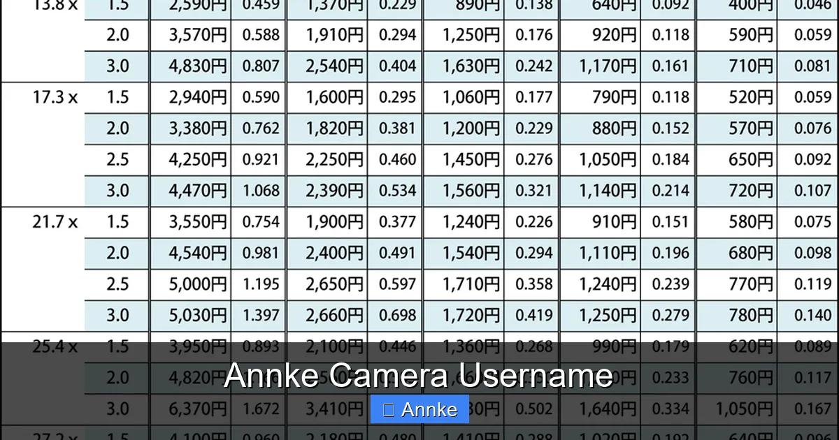 Annke Camera Username
