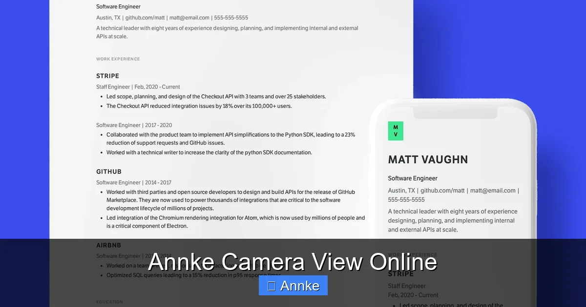 Annke Camera View Online