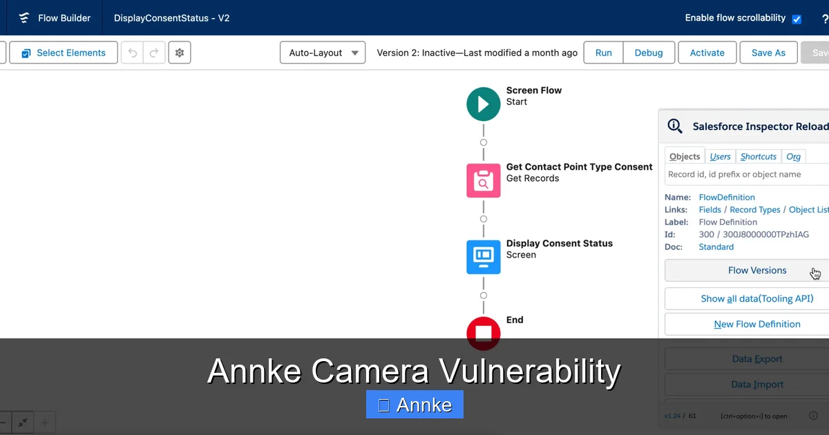 Annke Camera Vulnerability