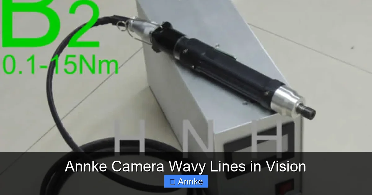 Annke Camera Wavy Lines in Vision