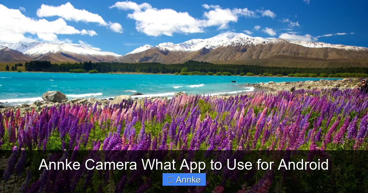 Annke Camera What App to Use for Android