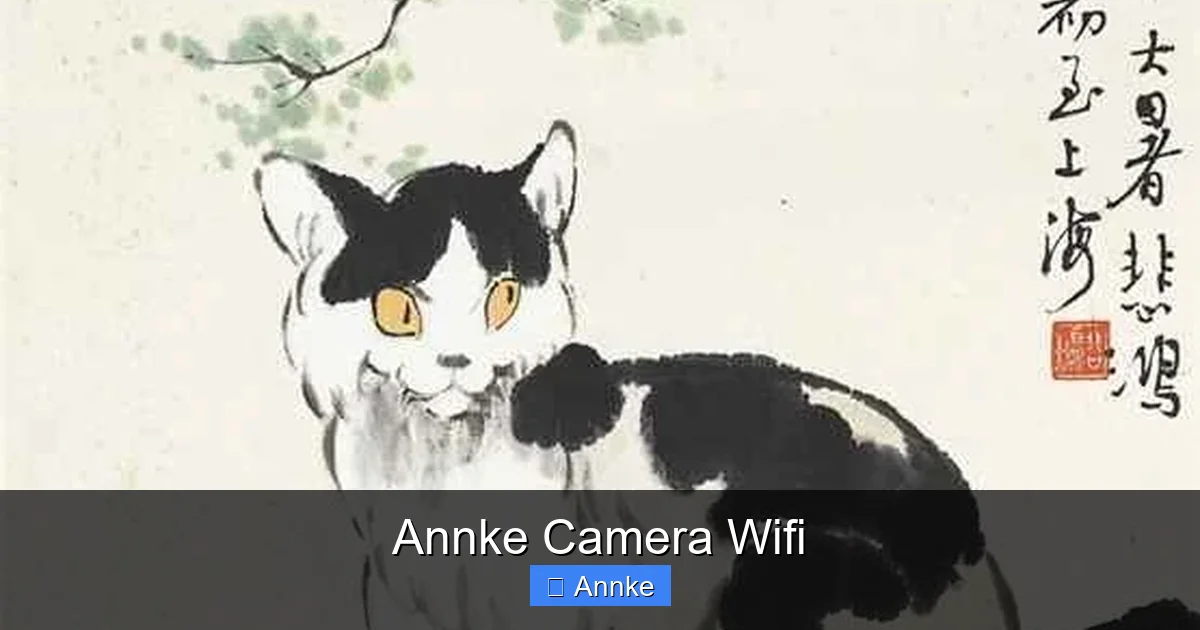 Annke Camera Wifi