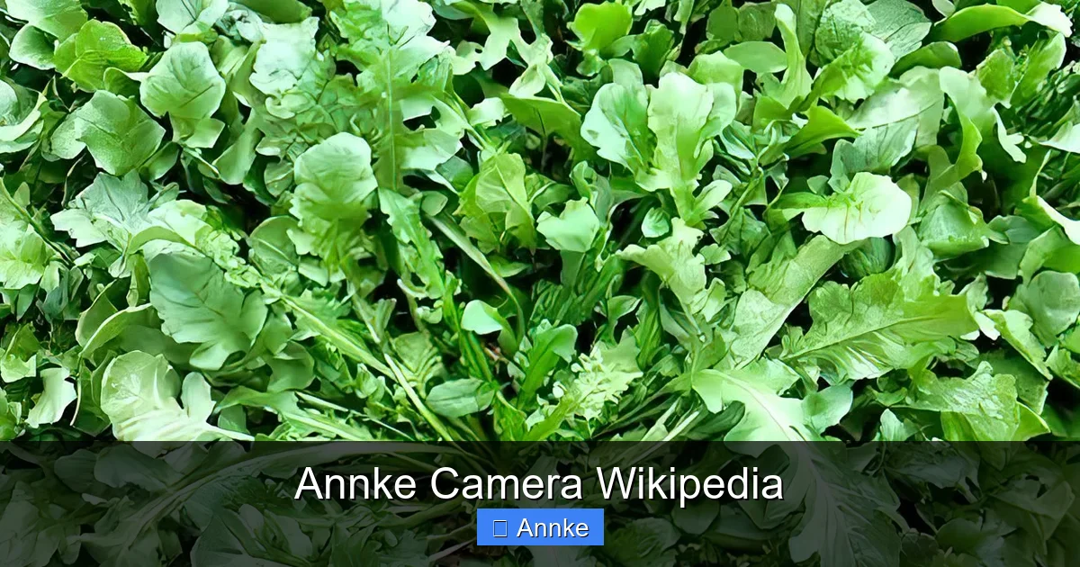 Annke Camera Wikipedia