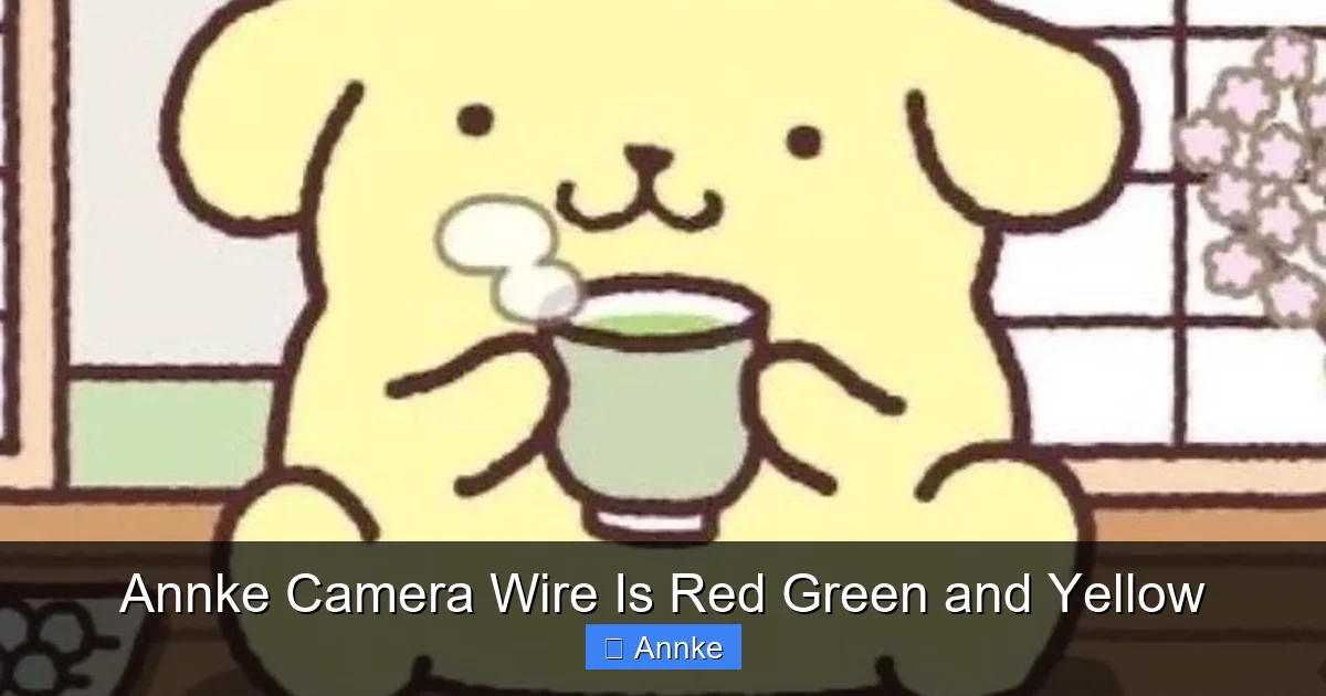 Annke Camera Wire Is Red Green and Yellow