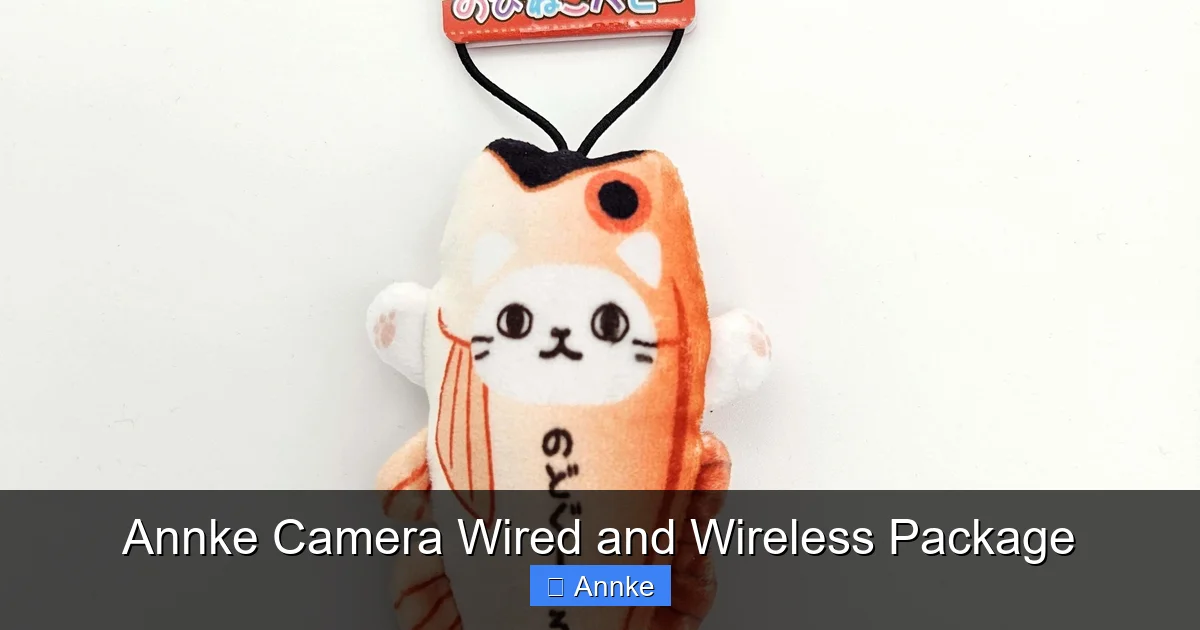 Annke Camera Wired and Wireless Package