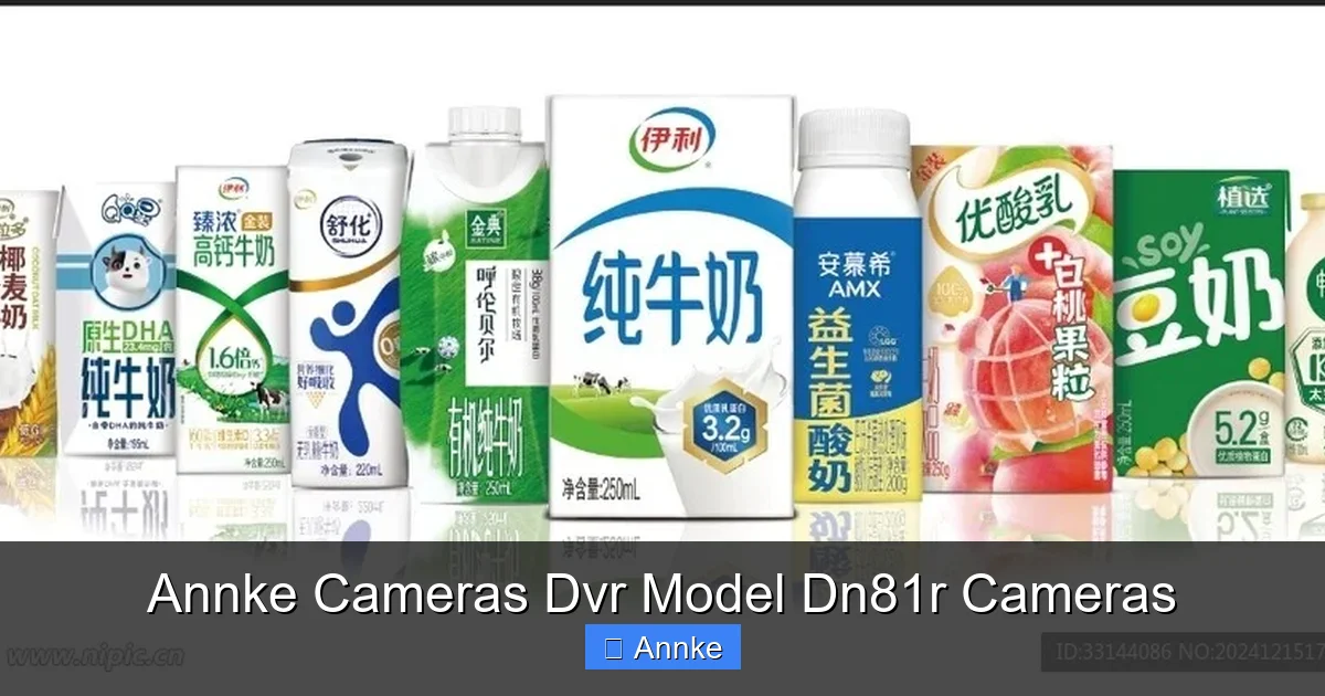 Annke Cameras Dvr Model Dn81r Cameras