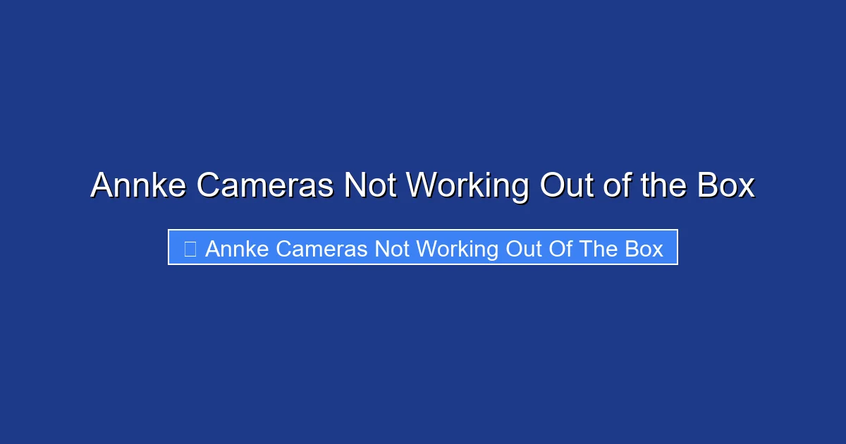 Annke Cameras Not Working Out of the Box