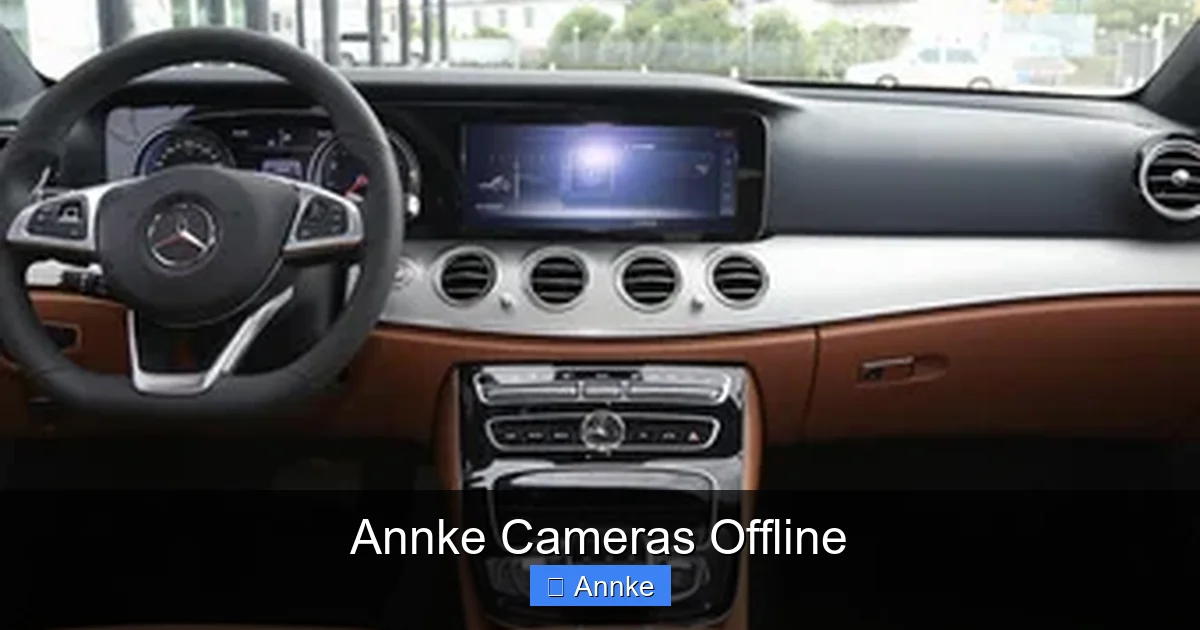 Annke Cameras Offline