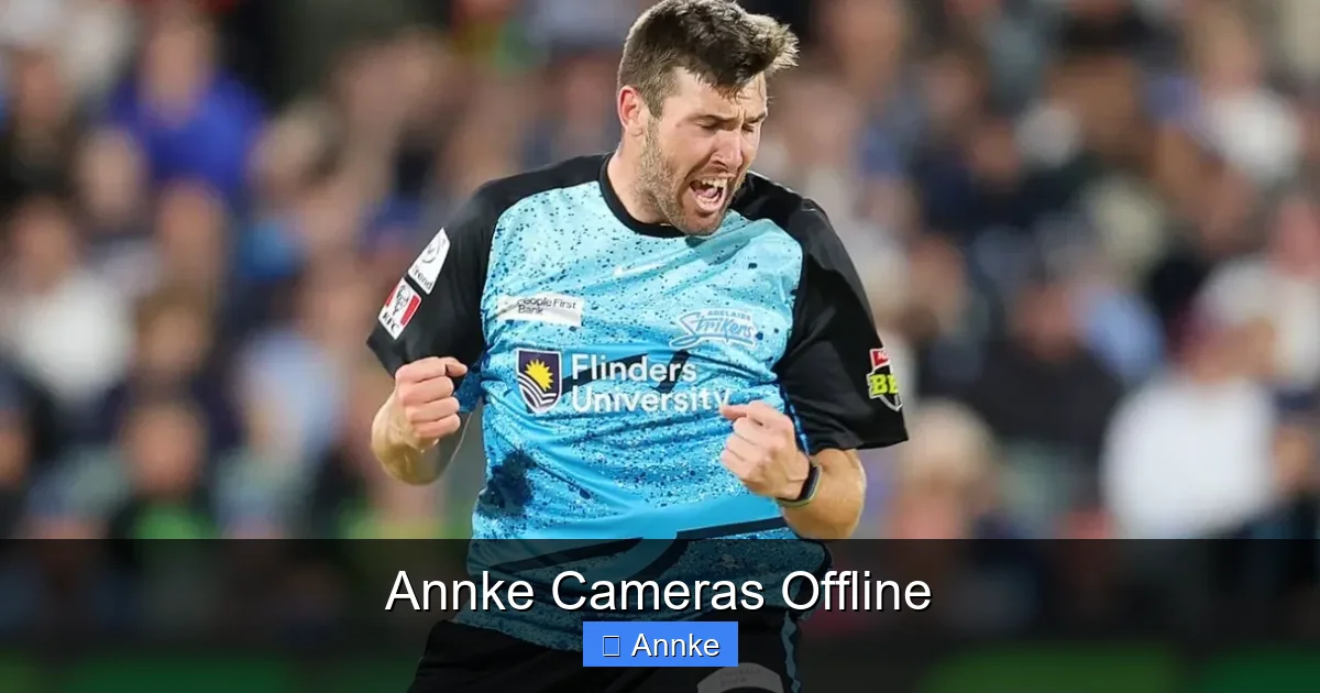 Annke Cameras Offline