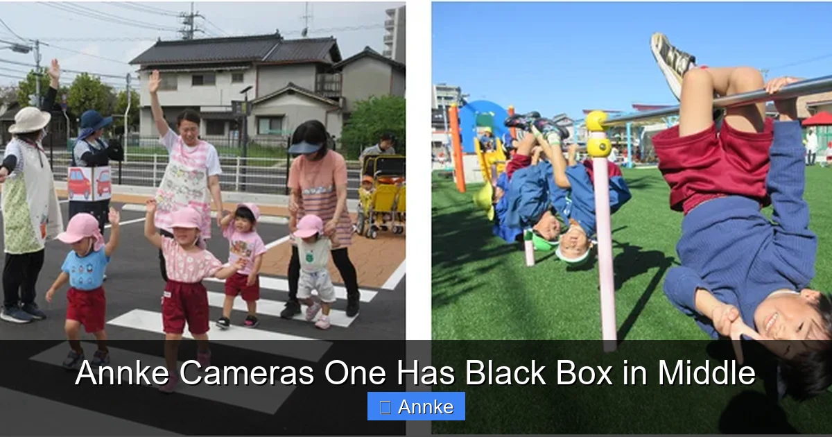 Annke Cameras One Has Black Box in Middle