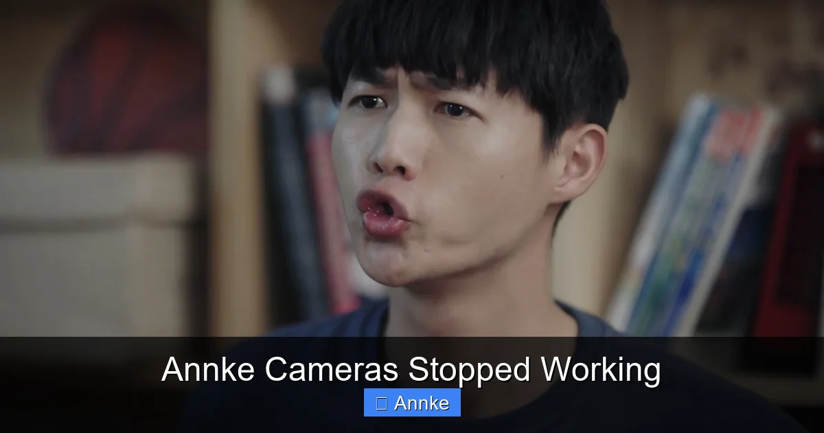 Annke Cameras Stopped Working
