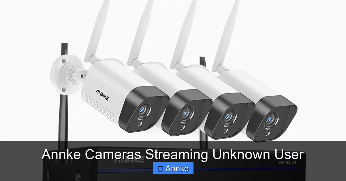Annke Cameras Streaming Unknown User