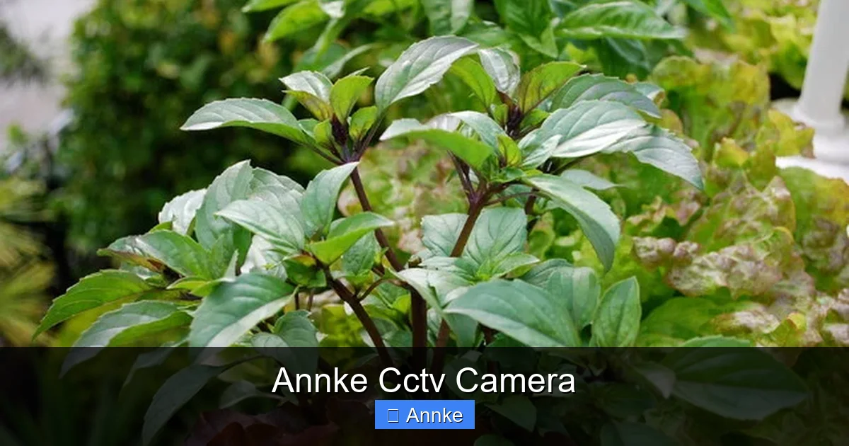 Annke Cctv Camera