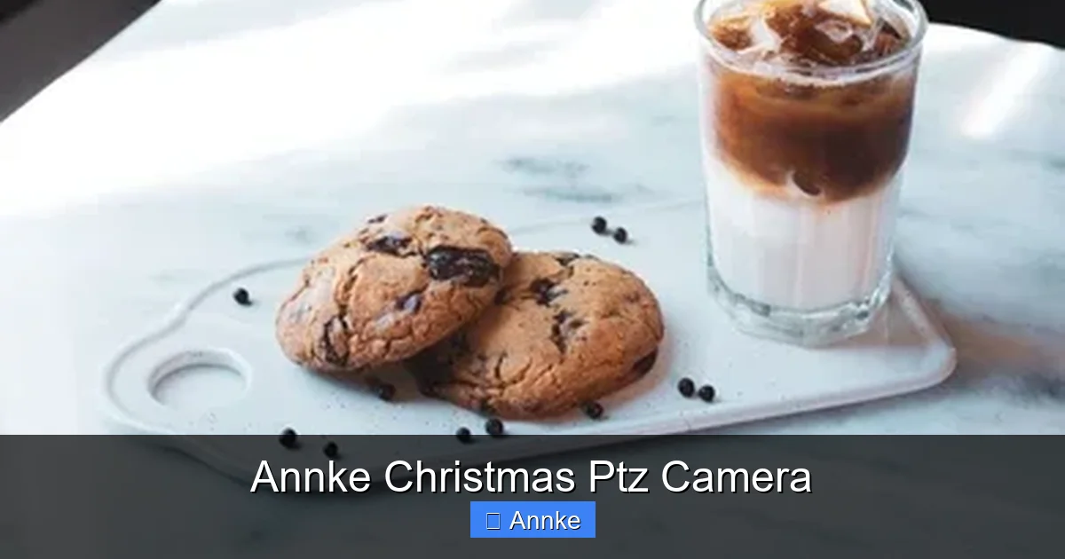 Annke Christmas Ptz Camera