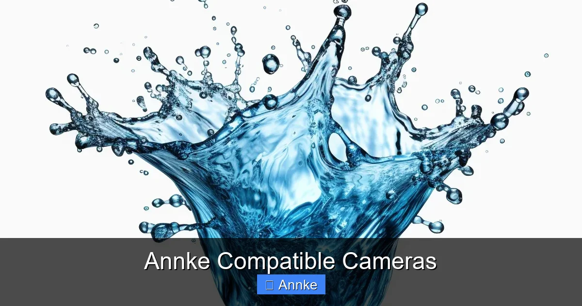Annke Compatible Cameras