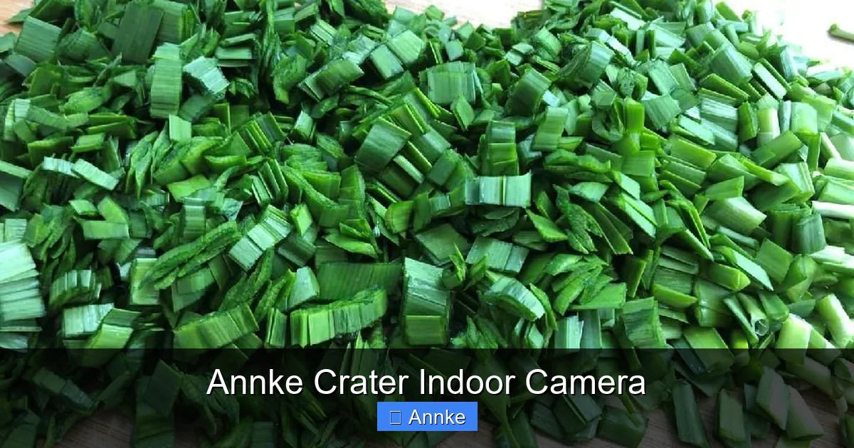 Annke Crater Indoor Camera