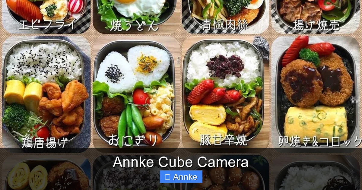 Annke Cube Camera