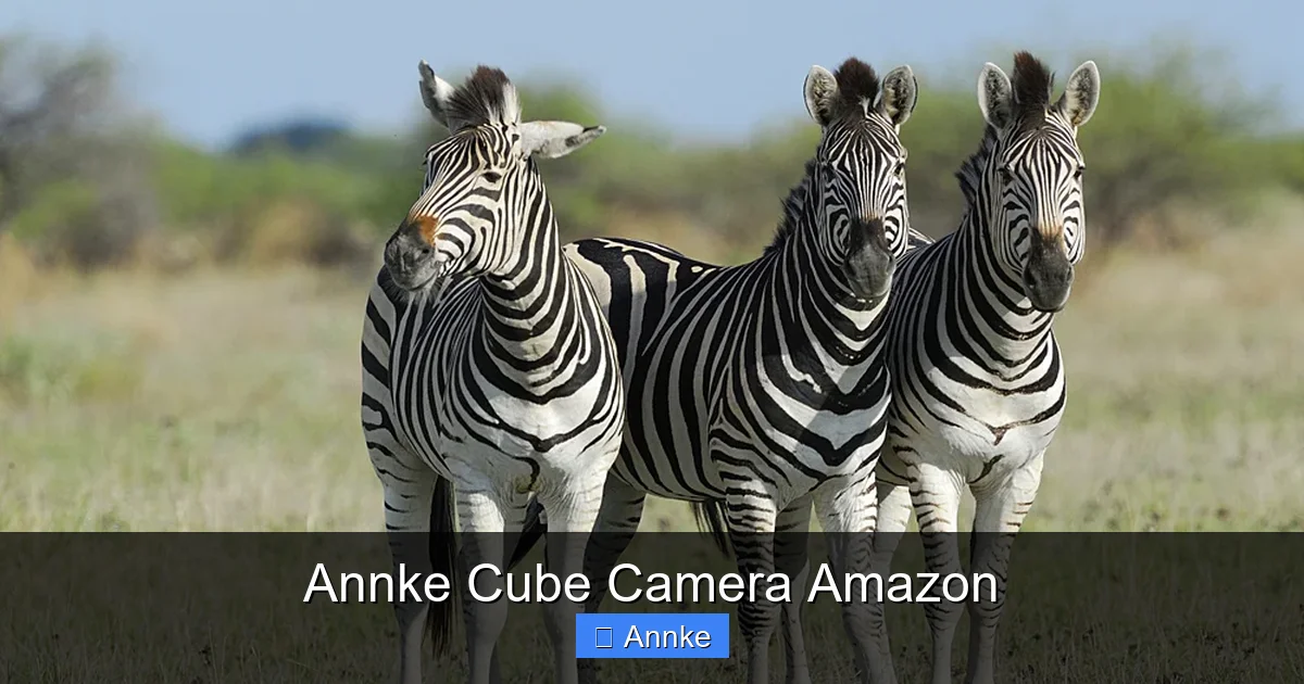 Annke Cube Camera Amazon