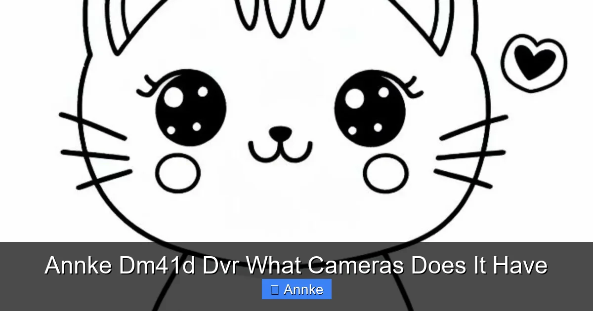Annke Dm41d Dvr What Cameras Does It Have