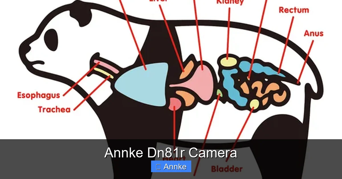 Annke Dn81r Camera