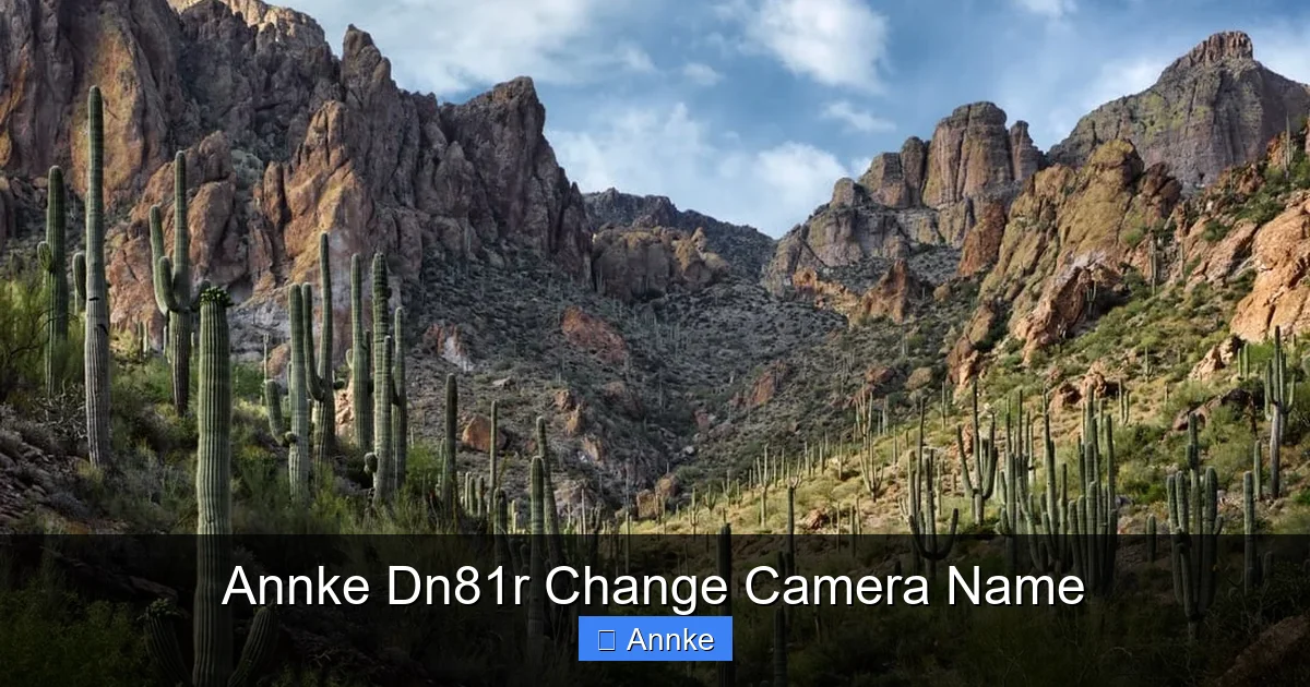 Annke Dn81r Change Camera Name