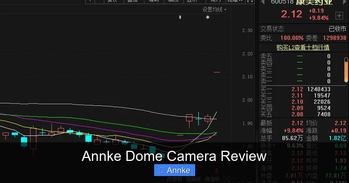 Annke Dome Camera Review
