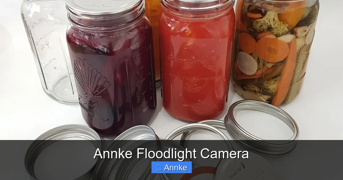 Annke Floodlight Camera