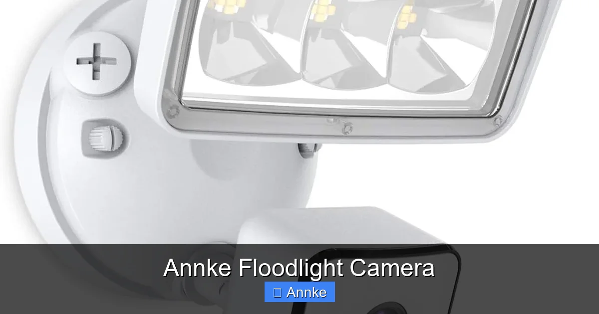 Annke Floodlight Camera
