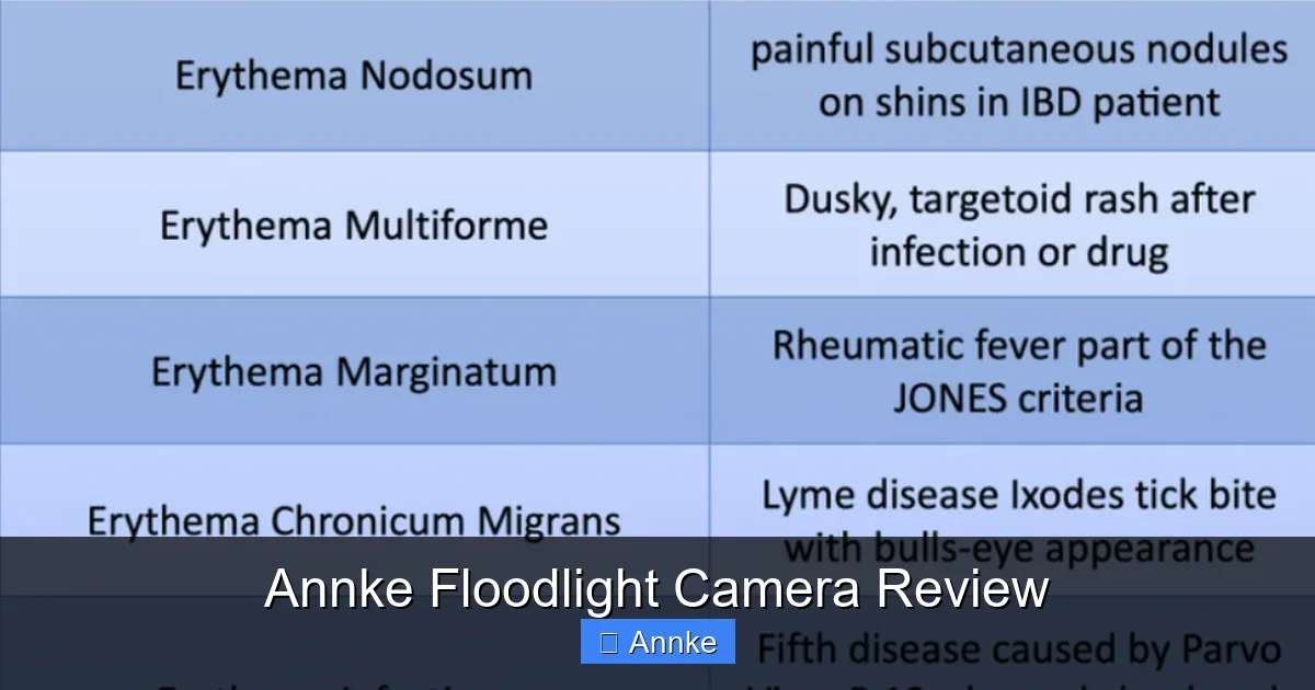 Annke Floodlight Camera Review