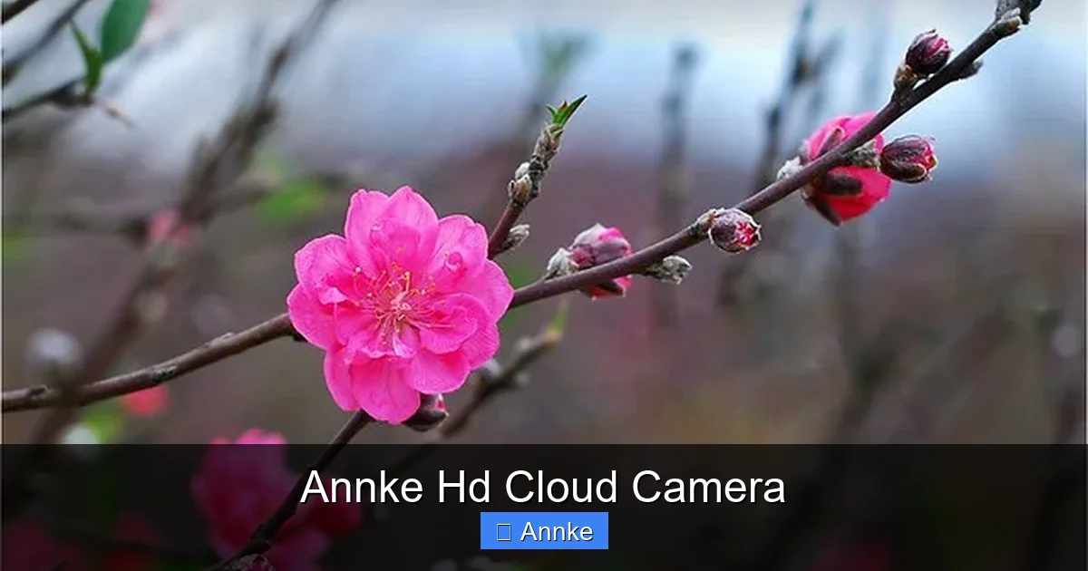 Annke Hd Cloud Camera